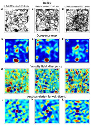 Navigation Patterns and Scent Marking: Underappreciated Contributors to Hippocampal and Entorhinal Spatial Representations?